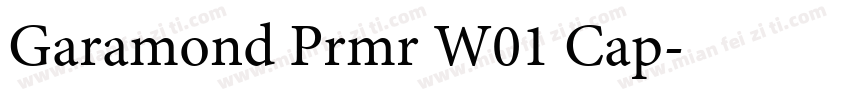 Garamond Prmr W01 Cap字体转换